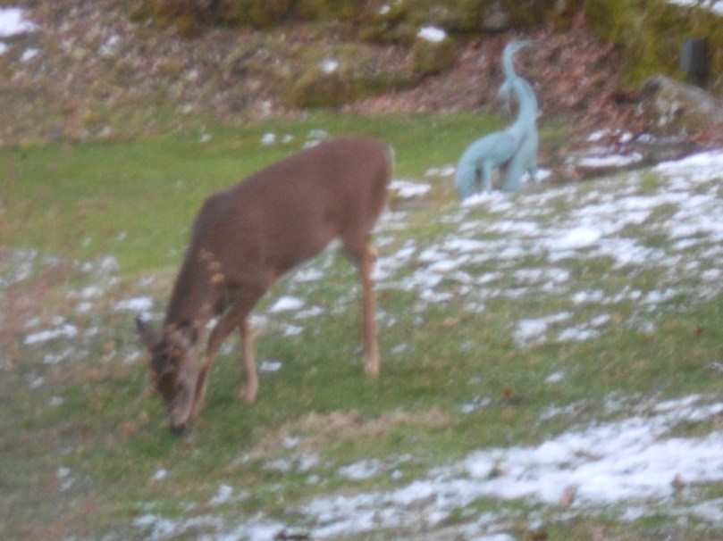 by all means, help yourself